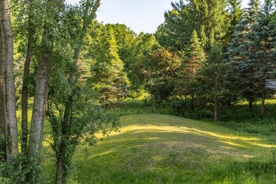 Impeccably maintained home in a picturesque May Township setting - photo 47