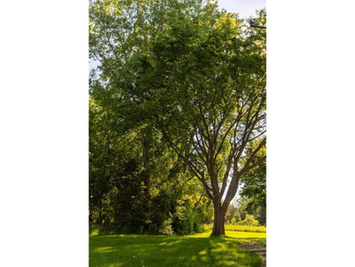 Impeccably maintained home in a picturesque May Township setting - photo 48