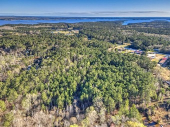 Strom Thurmond / Clarks Hill Lake Acreage For Sale in Appling Georgia