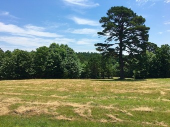 Pristine lot in subdivision of custom lake homes SOLD - Lake Lot SOLD! in Mountain Home, Arkansas