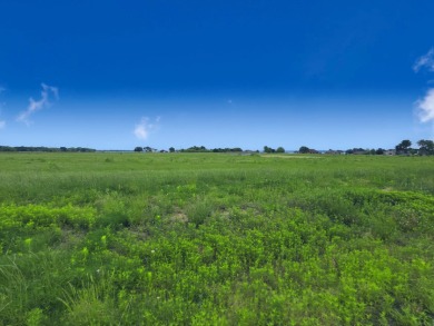 Beautiful 1.03 ac lot in Richland Cove, on Richland Chambers Lake - photo 39