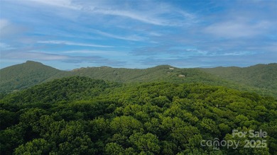 Significant 241+/-acre MOUNTAIN TOP is RESORT/ DEVELOPER'S - photo 14