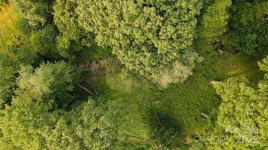 Significant 241+/-acre MOUNTAIN TOP is RESORT/ DEVELOPER'S - photo 15