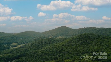 Significant 241+/-acre MOUNTAIN TOP is RESORT/ DEVELOPER'S - photo 17