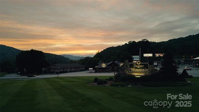 Significant 241+/-acre MOUNTAIN TOP is RESORT/ DEVELOPER'S - photo 20