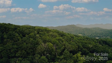Significant 241+/-acre MOUNTAIN TOP is RESORT/ DEVELOPER'S - photo 22
