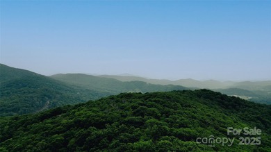 Significant 241+/-acre MOUNTAIN TOP is RESORT/ DEVELOPER'S - photo 23