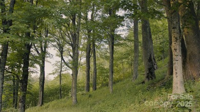 Significant 241+/-acre MOUNTAIN TOP is RESORT/ DEVELOPER'S - photo 31