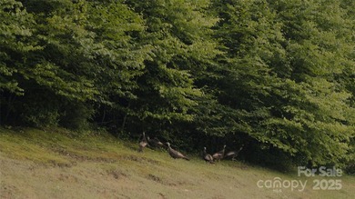 Significant 241+/-acre MOUNTAIN TOP is RESORT/ DEVELOPER'S - photo 34