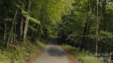 Significant 241+/-acre MOUNTAIN TOP is RESORT/ DEVELOPER'S - photo 36
