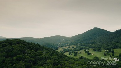 Significant 241+/-acre MOUNTAIN TOP is RESORT/ DEVELOPER'S - photo 41