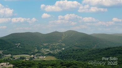 Significant 241+/-acre MOUNTAIN TOP is RESORT/ DEVELOPER'S - photo 42