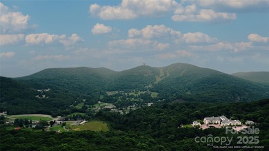 Significant 241+/-acre MOUNTAIN TOP is RESORT/ DEVELOPER'S - photo 43