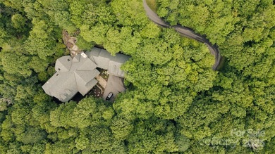 Significant 241+/-acre MOUNTAIN TOP is RESORT/ DEVELOPER'S - photo 44