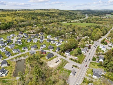 Rare opportunity to establish your business and residential - photo 4