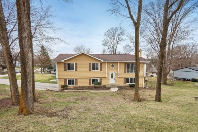 Lake Home For Sale in Lake In The Hills, Illinois