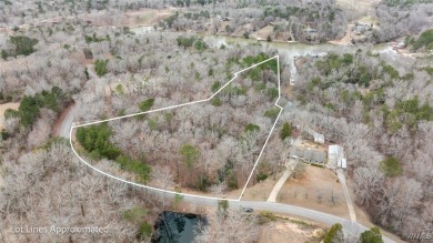 Lake Acreage For Sale in Northport, Alabama