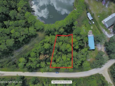 (private lake, pond, creek) Lot For Sale in Interlachen Florida