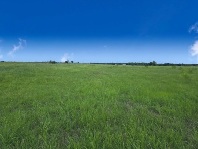 Beautiful 1.03 ac lot in Richland Cove, on Richland Chambers Lake - photo 5