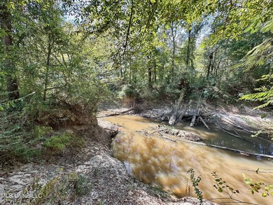 +/- 37 acres located in the Tuscolameta Creek bottom along the - photo 17