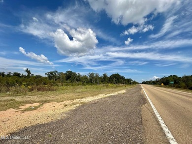 +/- 37 acres located in the Tuscolameta Creek bottom along the - photo 19