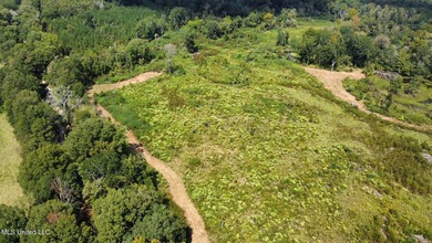 +/- 37 acres located in the Tuscolameta Creek bottom along the - photo 22