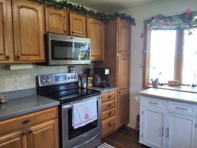 Gorgeous, well maintained lake home on Lake Kampeska! - photo 4