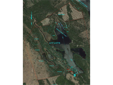 Attention investors! Now available: 252A+- acres in the heart of - photo 1