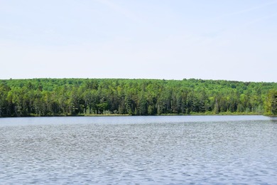 Attention investors! Now available: 252A+- acres in the heart of - photo 2