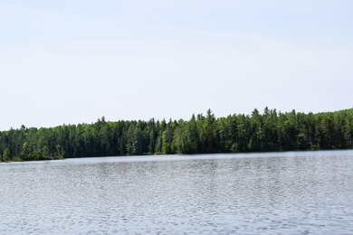 Attention investors! Now available: 252A+- acres in the heart of - photo 3