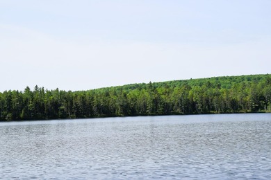 Attention investors! Now available: 252A+- acres in the heart of - photo 4