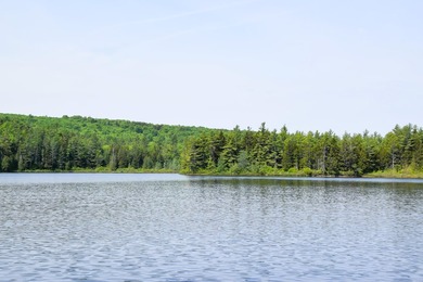 Attention investors! Now available: 252A+- acres in the heart of - photo 5
