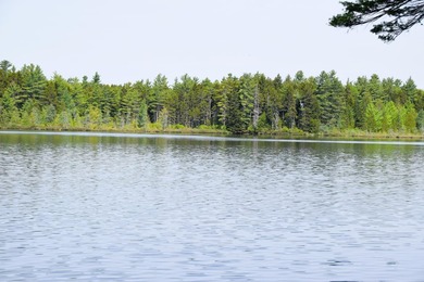 Attention investors! Now available: 252A+- acres in the heart of - photo 6