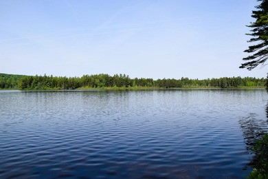 Attention investors! Now available: 252A+- acres in the heart of - photo 7