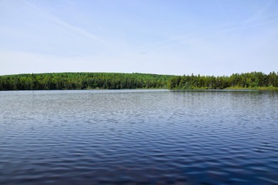 Attention investors! Now available: 252A+- acres in the heart of - photo 8