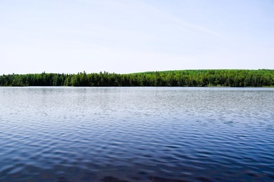 Attention investors! Now available: 252A+- acres in the heart of - photo 9