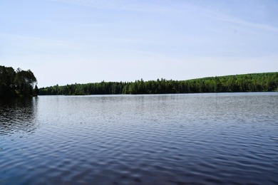 Attention investors! Now available: 252A+- acres in the heart of - photo 10