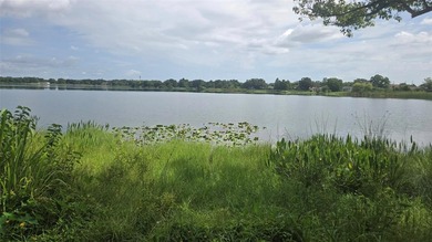 Lakefront vacant lot on beautiful Lake Mann. Ready to build just - photo 4
