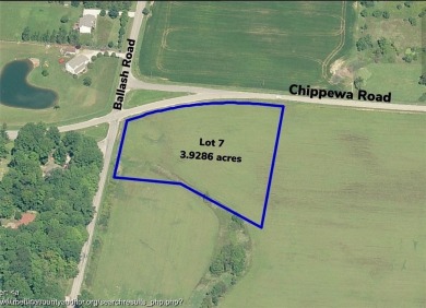 Chippewa Lake Acreage For Sale in Medina Ohio