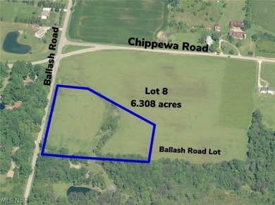 Chippewa Lake Acreage For Sale in Medina Ohio