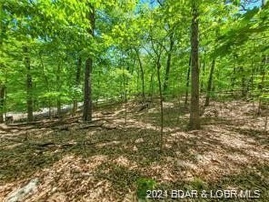 This Building Lot is in the prestigious Porto Cima Community - photo 3
