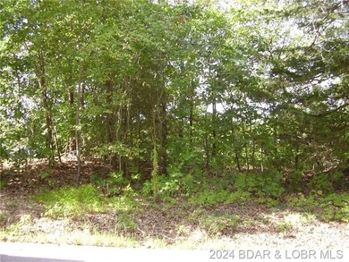 This Building Lot is in the prestigious Porto Cima Community - photo 4