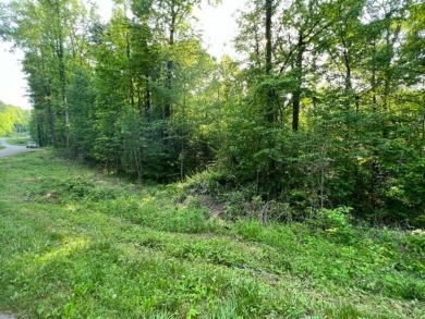 Watauga Lake Lot For Sale in Butler Tennessee