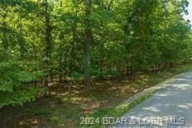 Four Seasons Building Lot that is fairly level and wooded - photo 3