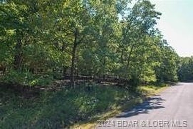 Four Seasons Building Lot that is fairly level and wooded on 1 - photo 2