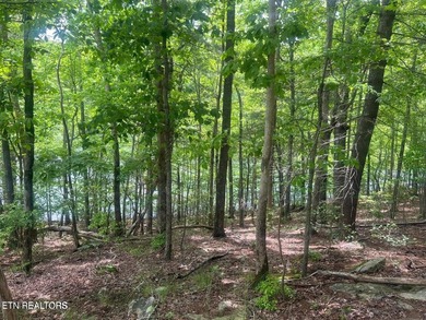 Spectacular Lakefront Lot with lake and Golf Course Views. Enjoy - photo 14