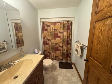 Lake Nokomis living! Look at this 4 bedroom 3 1/2 bath home with - photo 15