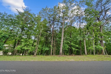 Spectacular Lakefront Lot with lake and Golf Course Views. Enjoy - photo 15