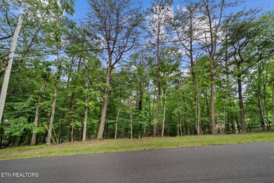 Spectacular Lakefront Lot with lake and Golf Course Views. Enjoy - photo 16