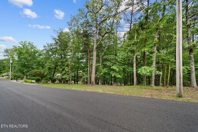 Spectacular Lakefront Lot with lake and Golf Course Views. Enjoy - photo 18